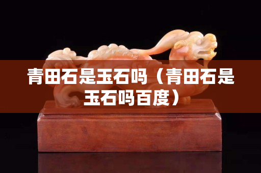 青田石是玉石嗎（青田石是玉石嗎百度）