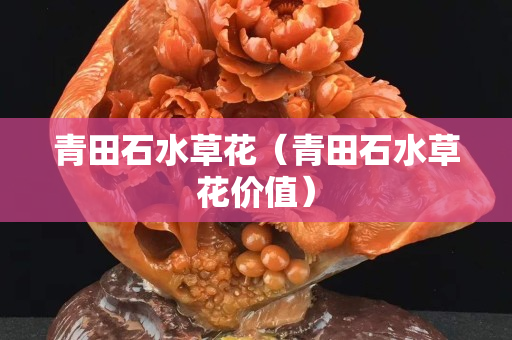 青田石水草花（青田石水草花價(jià)值）