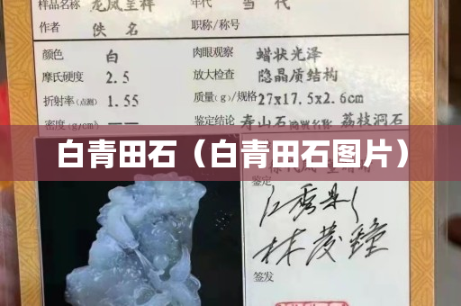 白青田石（白青田石圖片）