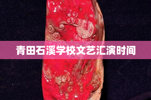 青田石溪學校文藝匯演時間