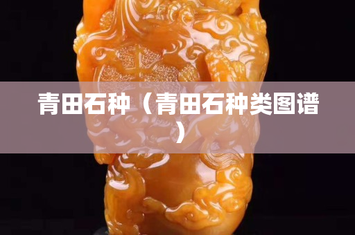 青田石種（青田石種類圖譜）