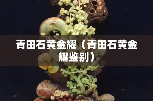 青田石黃金耀（青田石黃金耀鑒別）