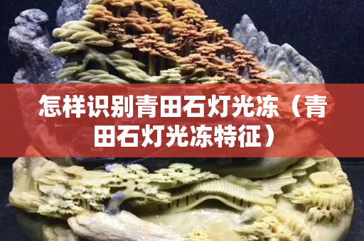 怎樣識別青田石燈光凍（青田石燈光凍特征）