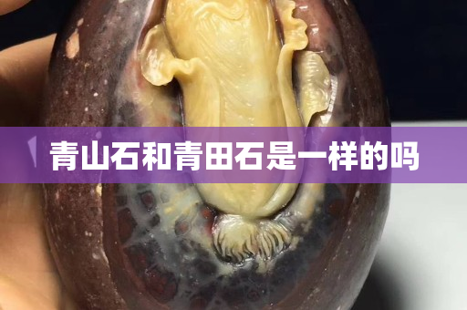 青山石和青田石是一樣的嗎