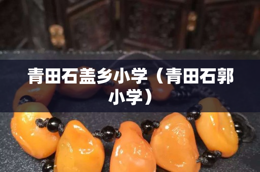青田石蓋鄉小學（青田石郭小學）