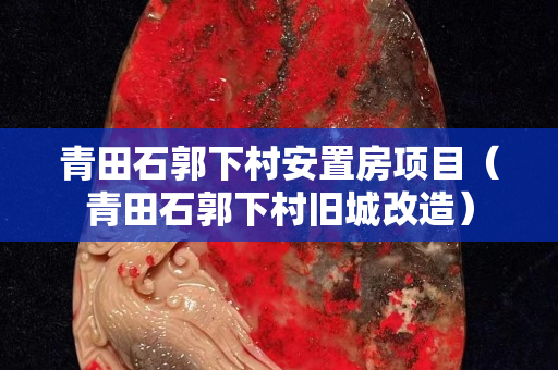 青田石郭下村安置房項目（青田石郭下村舊城改造）