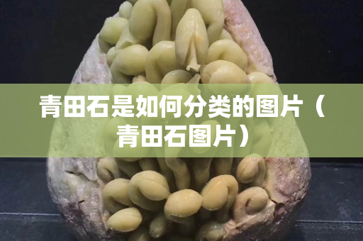 青田石是如何分類的圖片（青田石圖片）