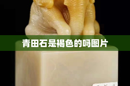 青田石是褐色的嗎圖片
