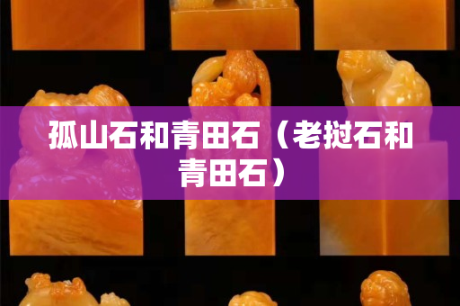 孤山石和青田石（老撾石和青田石）