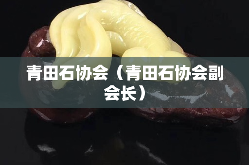 青田石協(xié)會(huì)（青田石協(xié)會(huì)副會(huì)長(zhǎng)）