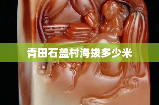 青田石蓋村海拔多少米