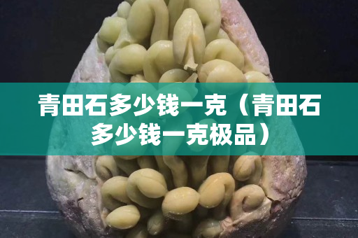 青田石多少錢一克（青田石多少錢一克極品）