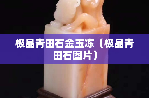 極品青田石金玉凍（極品青田石圖片）