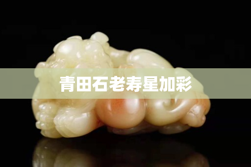 青田石老壽星加彩