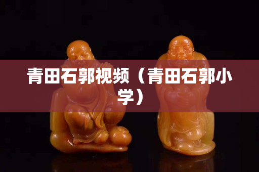 青田石郭視頻（青田石郭小學）