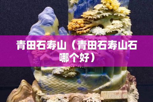 青田石壽山（青田石壽山石哪個好）