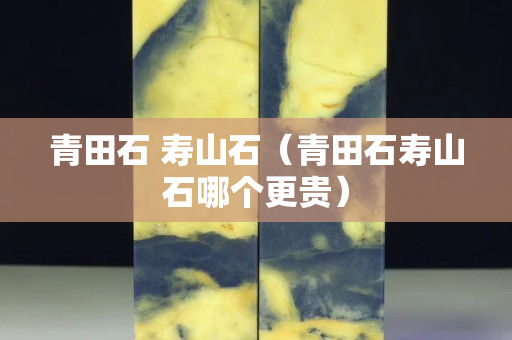 青田石 壽山石（青田石壽山石哪個更貴）