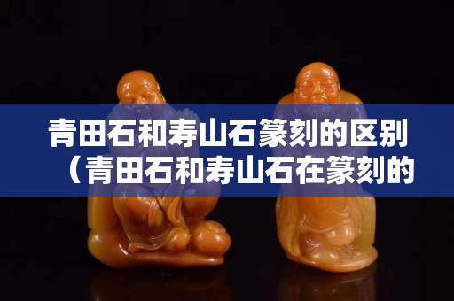 青田石和壽山石篆刻的區(qū)別（青田石和壽山石在篆刻的區(qū)別）