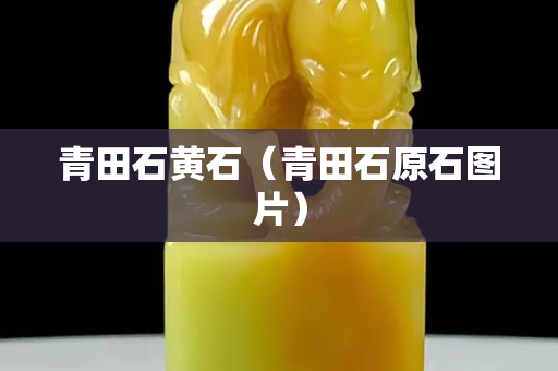 青田石黃石（青田石原石圖片）