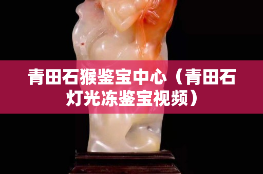 青田石猴鑒寶中心（青田石燈光凍鑒寶視頻）