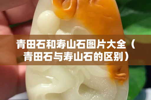 青田石和壽山石圖片大全（青田石與壽山石的區(qū)別）
