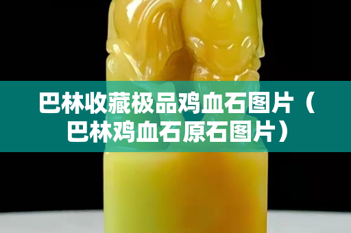 巴林收藏極品雞血石圖片（巴林雞血石原石圖片）