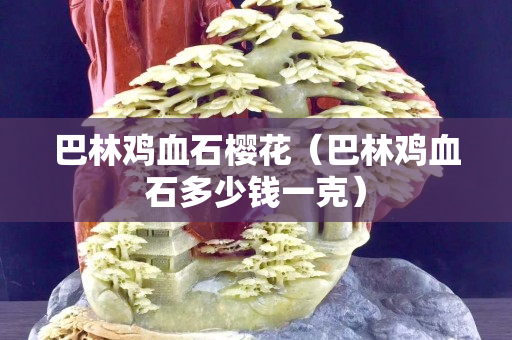 巴林雞血石櫻花（巴林雞血石多少錢一克）