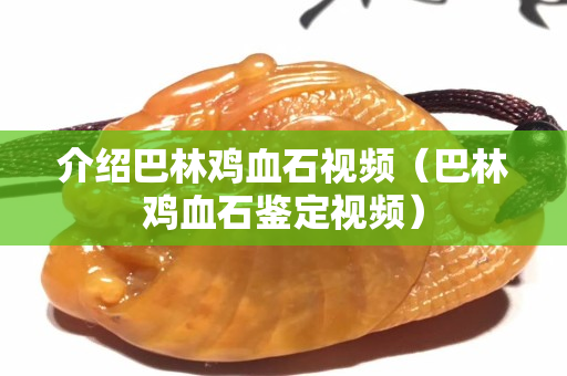 介紹巴林雞血石視頻（巴林雞血石鑒定視頻）