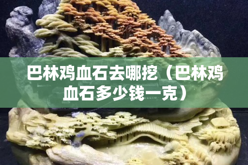 巴林雞血石去哪挖（巴林雞血石多少錢一克）