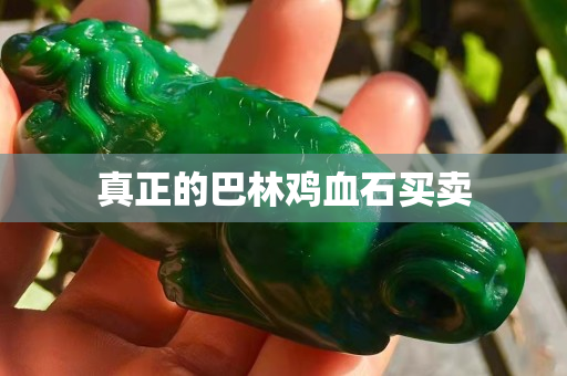 真正的巴林雞血石買賣