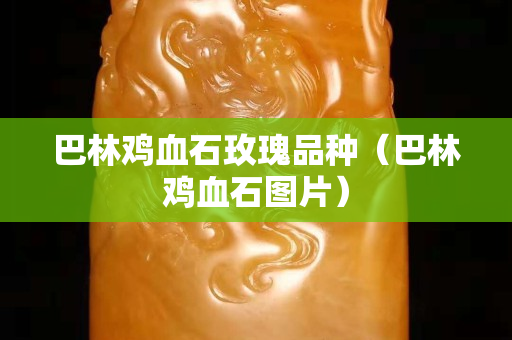 巴林雞血石玫瑰品種（巴林雞血石圖片）