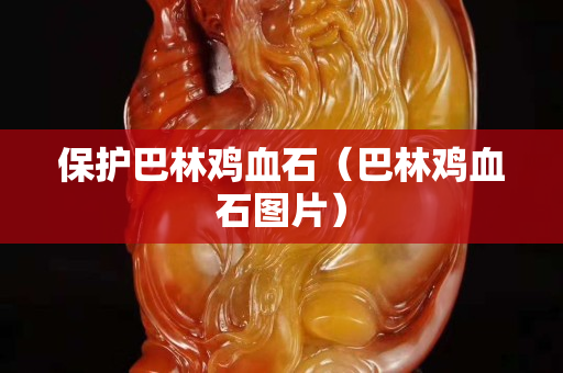 保護巴林雞血石（巴林雞血石圖片）
