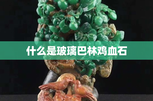 什么是玻璃巴林雞血石