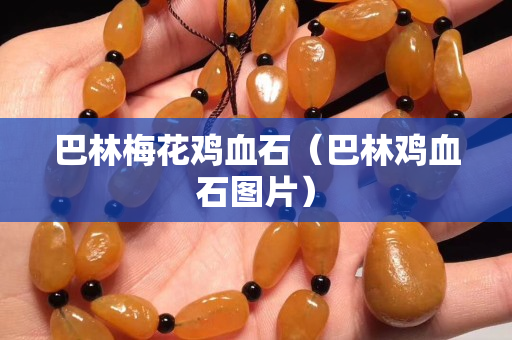 巴林梅花雞血石（巴林雞血石圖片）