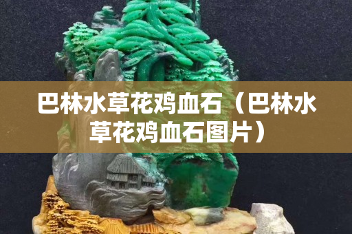 巴林水草花雞血石（巴林水草花雞血石圖片）