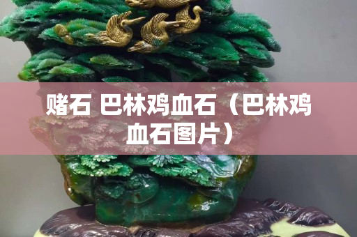 賭石 巴林雞血石（巴林雞血石圖片）