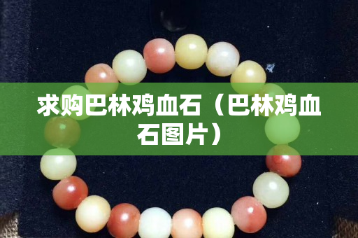 求購巴林雞血石（巴林雞血石圖片）