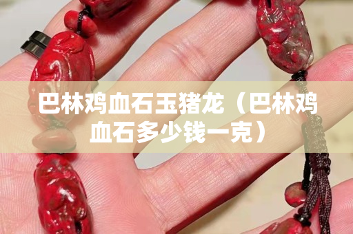 巴林雞血石玉豬龍（巴林雞血石多少錢一克）