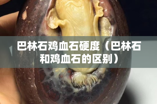 巴林石雞血石硬度（巴林石和雞血石的區別）