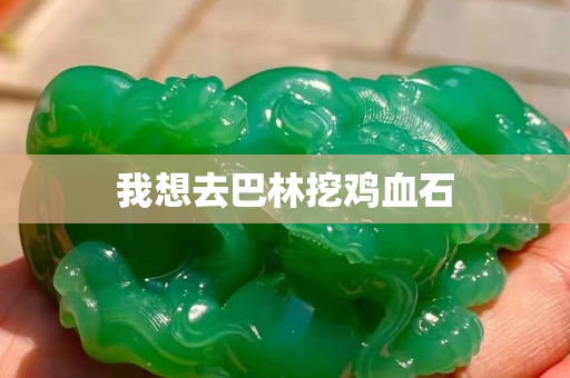 我想去巴林挖雞血石