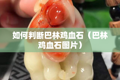 如何判斷巴林雞血石（巴林雞血石圖片）