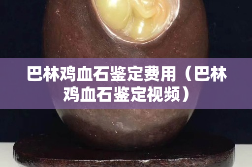 巴林雞血石鑒定費用（巴林雞血石鑒定視頻）