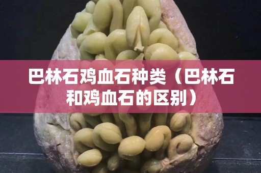 巴林石雞血石種類（巴林石和雞血石的區(qū)別）