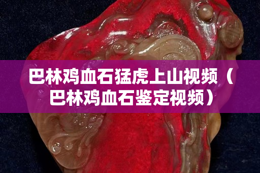 巴林雞血石猛虎上山視頻（巴林雞血石鑒定視頻）