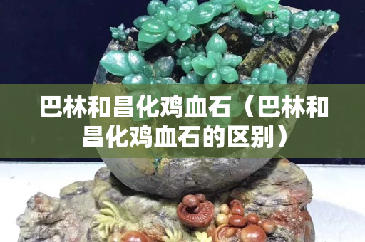 巴林和昌化雞血石（巴林和昌化雞血石的區(qū)別）