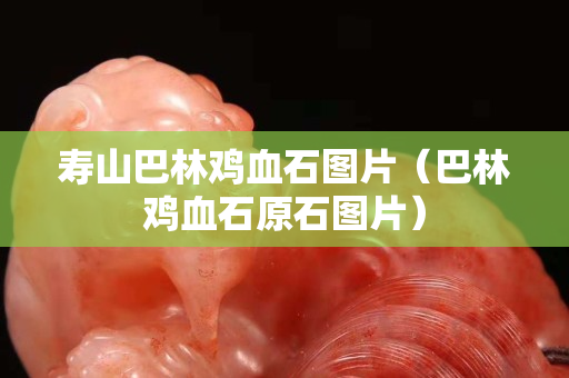 壽山巴林雞血石圖片（巴林雞血石原石圖片）