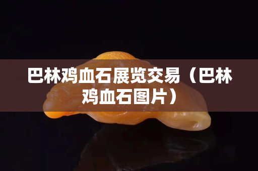 巴林雞血石展覽交易（巴林雞血石圖片）