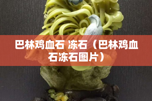 巴林雞血石 凍石（巴林雞血石凍石圖片）