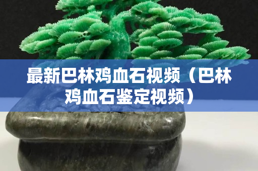 最新巴林雞血石視頻（巴林雞血石鑒定視頻）