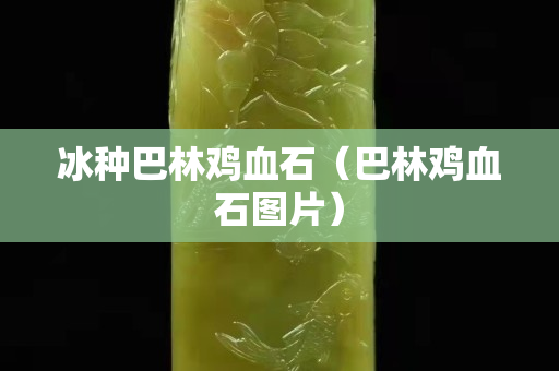 冰種巴林雞血石（巴林雞血石圖片）